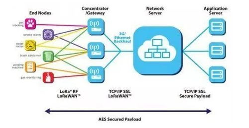 航顺芯片 医疗芯片出货领跑，物联网赛道聚焦智慧计量新蓝海