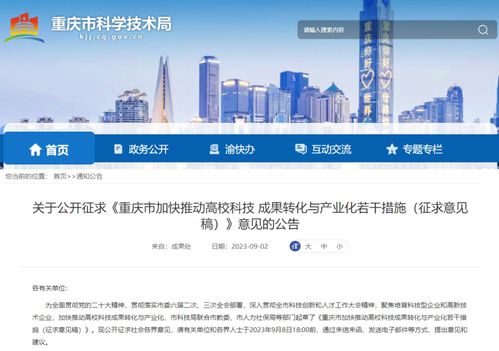 重庆 高校有组织研发破浪前行，科技成果孵化驶入快车道